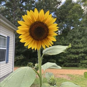 Meet your Posher, Alyssa!